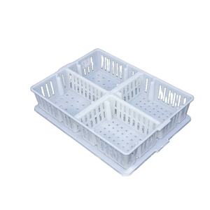 <span class=keywords><strong>Cage</strong></span> de transport pour poules, en plastique, 1 pièce, boîte de transport des oiseaux, pour bébés - Product Image 6