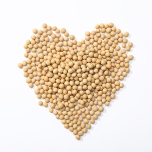 Nhà máy cung cấp giá thấp đậu tương bán buôn đậu tương người mua - Product Image 6