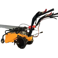 Désherbeuse agricole autopropulsée de haute qualité, à essence, mini-tracteur, cultivateur rotatif à essence