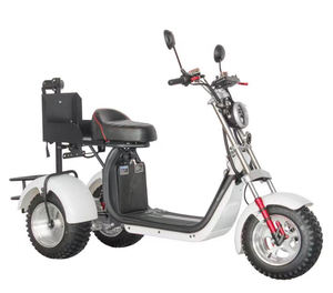 Livraison de <span class=keywords><strong>porte</strong></span>-à-<span class=keywords><strong>porte</strong></span> EEC Moto électrique 3 roues Citycoco 4000W Trike en vente Batterie 60v 40ah pneus tout terrain Scooter de golf - Product Image 4