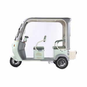 Le nouveau type de vélo électrique adulte à trois roues de l'usine de tricycle électrique de couverture adapté aux déplacements urbains loisirs cyclisme - Product Image 3