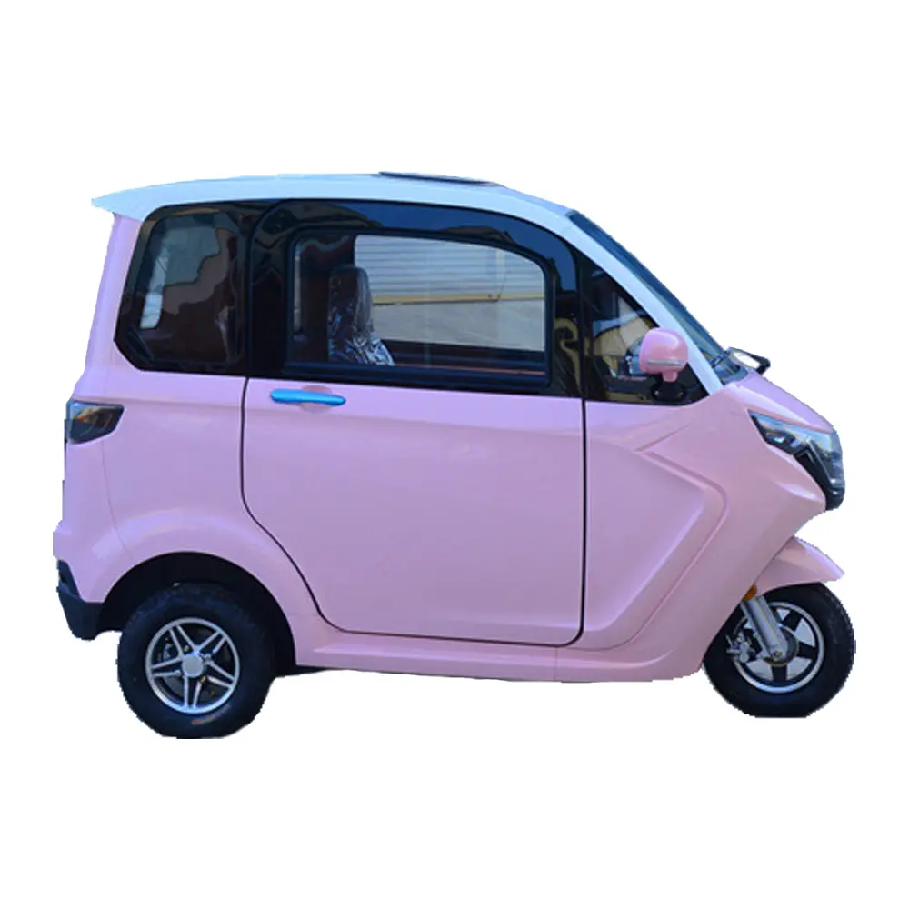 China New Design Enclosed Body 3 wheel delivery car Electric Tricycle China Electric Tricycle