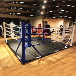 <span class=keywords><strong>Ring</strong></span> de boxe au sol <span class=keywords><strong>Prix</strong></span> d'usine 25ft <span class=keywords><strong>MMA</strong></span> Wrestling <span class=keywords><strong>Ring</strong></span> For Boxing Equipment - Product Image 2