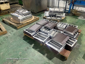 Oem odm lựa chọn thay thế mtu 8v396 tb53 phí làm mát không khí intercooler 8690980160 - Product Image 5