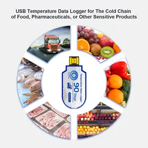 Registrador de temperatura USB, registrador de datos, almacenamiento de 10000 grupos, Registrador de temperatura portátil desechable de alta precisión