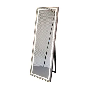 2023 New Product Large Led Luminous Smart Full Body Mirror Floor Dressing Mirror With Light For Home Hotol