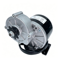 Kit de conversión eléctrica de 24V, motor de CC con engranajes, motor para scooter, motor de tracción central, motor de alto par, motor eléctrico, motor de CC con escobillas, proveedor de motores