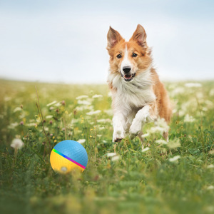 Pelota Masticable Inteligente para Mascotas con Movimiento Automático, Modelo <span class=keywords><strong>BO3</strong></span>, de TPU/ABS, con Control Remoto, Juguete Interactivo para Perros Grandes - Product Image 4