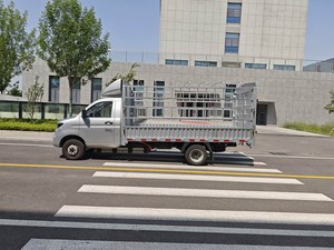 Camionnette électrique Reach Ren T30 |   Haute capacité de charge et longue portée pour les utilisateurs commerciaux mondiaux - Product Image 3