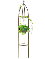 Obélisque en métal pour jardin, treillis en fer forgé, support pour plantes grimpantes, roses, clématites, décoration de jardin extérieur