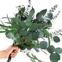Fournisseur d'usine en gros – 100g/bouquet de feuilles d'eucalyptus naturelles séchées et préservées, feuilles de pomme, fleurs pour la Saint-Valentin et Noël