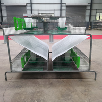 Cage d'élevage commerciale pour lapins avec système de collecte des excréments