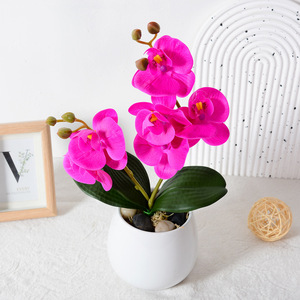Orchidées Phalaenopsis artificielles Flower Delight en PU, toucher doux et réaliste, pour décorations de mariage et de maison - Product Image 3