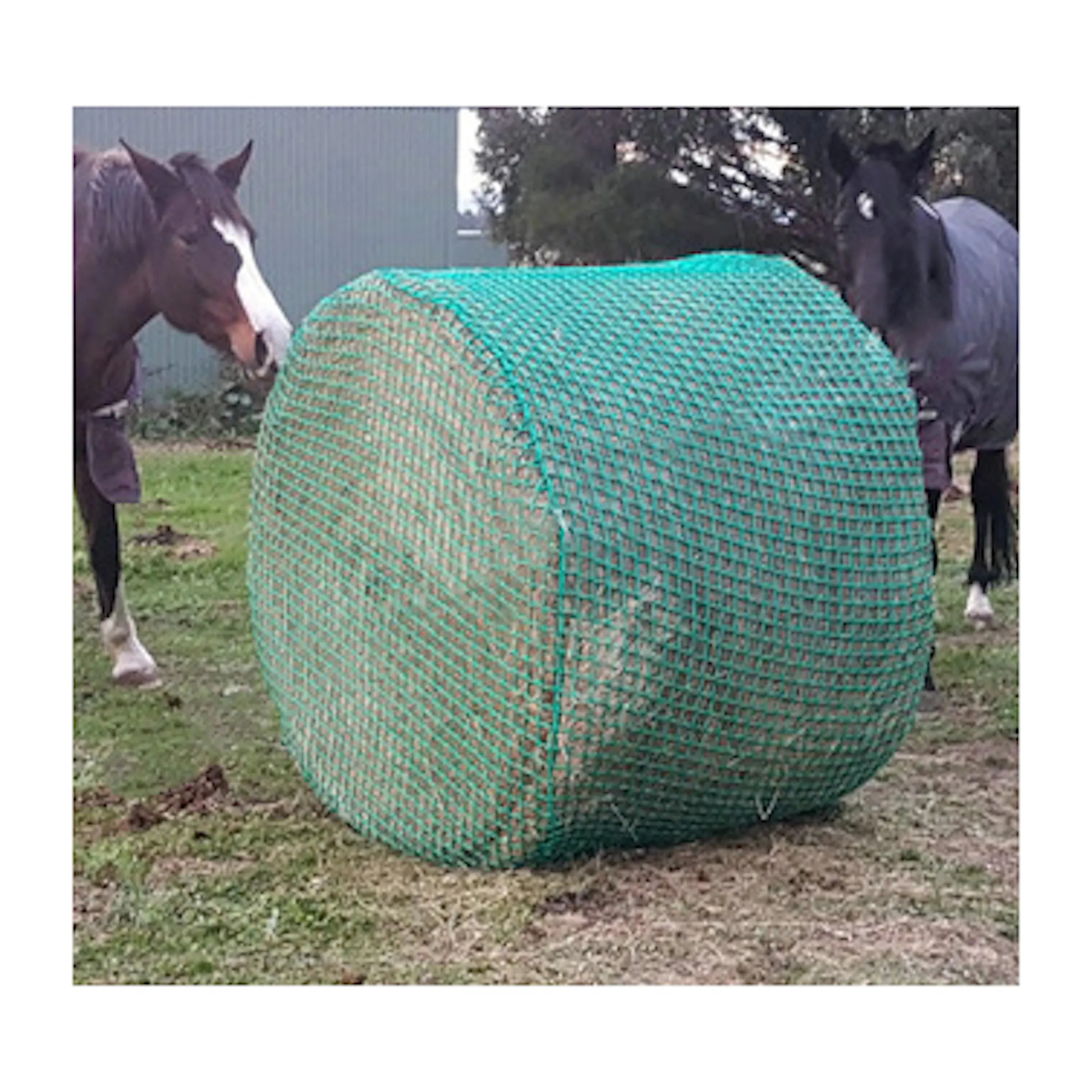 Harga Pabrik Hay Nets untuk Kuda Besar Bale Hay Kuda Feeder Lambat Bersih Shenzhen Ningbo Hay Nets untuk Kuda