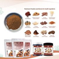 Poudre de Reishi à bon prix, soluble dans l'eau, extrait de Ganoderma, extrait de champignon Reishi en poudre