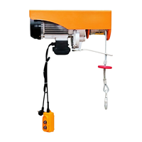 Palans électriques sans fil de qualité industrielle pour extérieur, IP54, micro-palans de 50 kg pour l'usine, le garage, la scène, la quincaillerie