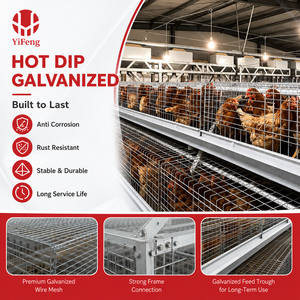 Nuevo Sistema <span class=keywords><strong>de</strong></span> Alimentación Automática para Jaulas <span class=keywords><strong>de</strong></span> Acero Galvanizado Tipo A, Equipo Comercial para Cría <span class=keywords><strong>de</strong></span> Pollos <span class=keywords><strong>de</strong></span> Corral - Product Image 6