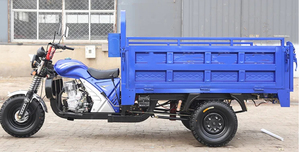 Tricycle à moteur à essence 150CC à cinq roues de haute qualité pour le transport de marchandises lourdes, moto agricole motorisée en promotion - Product Image 2