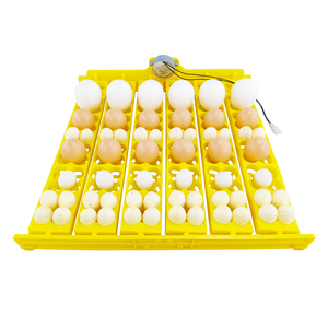 ถาดใส่ไข่ไก่สำหรับ<span class=keywords><strong>ฟัก</strong></span>ไข่ 36 ฟอง แบบมัลติฟังก์ชั่น ขายดีอันดับต้นๆ - Product Image 6