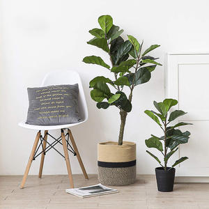 Cesta de flores tejida decorativa para el hogar simple para <span class=keywords><strong>maceta</strong></span>, cesta de lavandería, caja de almacenamiento, venta al por mayor - Product Image 4