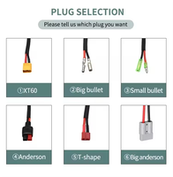 Batterie de vélo électrique haute performance Hailong G70 G80 36V 48V 52V 20Ah - Cellules de qualité A - BMS intelligent - Compatible avec les moteurs 500W-1000W