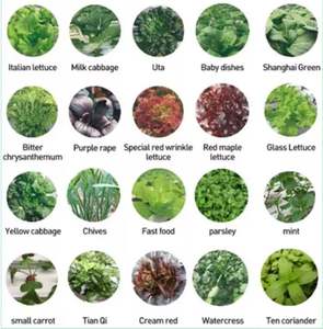 เครื่องปลูกผักอัตโนมัติ ระบบให้น้ำหยดอัจฉริยะ พร้อมส่วนประกอบหลัก PLC สำหรับการปลูกพืชไร้ดินในร่ม - Product Image 3