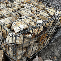Panneau de boîte de cage soudée durable de panier de Gabion avec la maille hexagonale pour le confinement de pierre de roche et les solutions de contrôle d'érosion