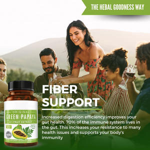 WELLBODY OEM/ODM Private Label Fornecimento De Fábrica Halal Natural Orgânico Verde Papaia 4:1 Cápsulas De Extrato De Frutas para a Saúde Do Corpo - Product Image 4