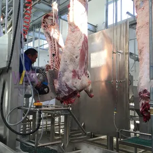 आधुनिक वधशाला मवेशी कसाईखाना स्वत: शव बंटवारे देखा मांस प्रसंस्करण मशीनरी गाय कत्लेआम उपकरण