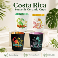 Verres à Tequila en Céramique Souvenirs Touristiques du Costa Rica pour les Invités – Lot de Petites Tasses à Vin en Porcelaine – Personnalisation OEM en Gros