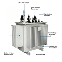 Transformateur de distribution triphasé immergé dans l'huile pour usage agricole et parcs industriels, 30kVA, 50kVA, 63kVA, 80kVA, 100kVA, 6kV, 10kV