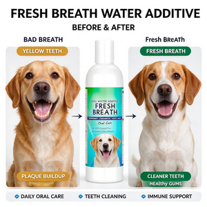 OEM <strong>Fish</strong> <strong>Oil</strong> Water Mouthwash <strong>for</strong> Cats <strong>Dogs</strong> Dental Cleansing Immune Support High-Protein Breath Freshener Teeth Cleaning - Product Image 3