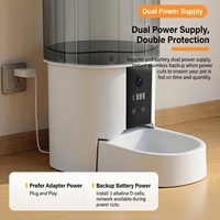 Distributeur automatique de nourriture pour animaux de compagnie intelligent Wifi OEM 4L avec caméra, contrôle par application, programmation et dosage