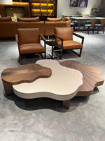 Table basse de luxe moderne en forme de nuage irrégulier, décoration créative pour salon, mobilier d'appoint au design minimaliste