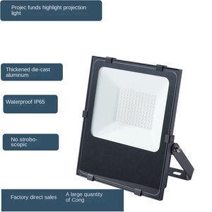 Haute luminosité 50W-400W IP65 étanche projecteur LED corps en aluminium blanc chaud COB puce source d'alimentation ca pour une utilisation en paysage - Product Image 2