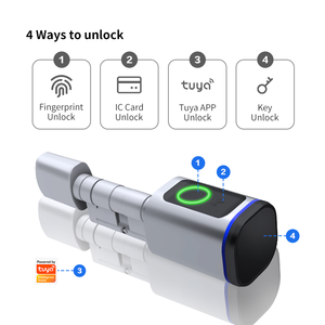 ระบบล็อคประตูอัจฉริยะแบบฝัง ยี่ห้อ Tuya รุ่น Safe Steel Mortise Lock สำหรับประตูบานสวิงอะลูมิเนียม พร้อมลูกกลิ้งทองเหลือง สำหรับตลาดสหรัฐอเมริกาและยุโรป - Product Image 1