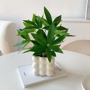 Plante Artificielle en Pot Muyu Chronicles, Petites Feuilles en Soie, Décoration de Bureau et de Maison - Product Image 1