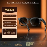 Lunettes Intelligentes Transfrontalières W660 avec Caméra 20MP, Enregistrement Photo/Vidéo, Stabilisation d'Image, Reconnaissance d'Objets par IA et Traduction