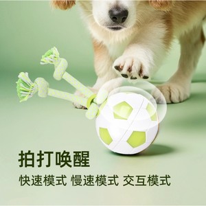 Juguete Eléctrico Giratorio para Perros All For Paws, Interactivo con Cuerda, de TPR, para Jugar con Mascotas - Product Image 3