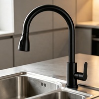 Keran Dapur Modern Matte Black Plastik, Model Deck Mounted, Tuas Tunggal, Air Panas Dingin, Semprotan Tarik, Mixer Tap