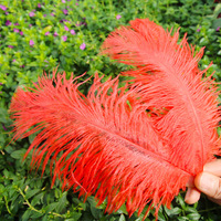 Plumes d'autruche naturelles de 70 cm pour le bricolage artisanal Décoration de fête de mariage et de carnaval Décoration de vase de lampe et panache de pièce maîtresse jaune 40-45cm