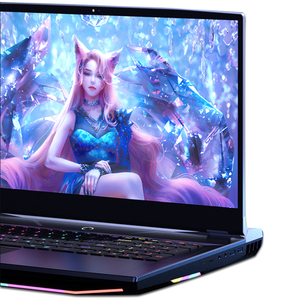 Ordinateur portable de jeu de haute qualité Core I7-10750h 12 cœurs 17,3 pouces 144 Hz 32 Go de RAM 2 To SSD GTX1650 Prise UK/US 11 RGB S30t-i7 DDR4 - Product Image 3