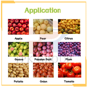 Máquina de Limpieza y Secado de Frutas a Buen <span class=keywords><strong>Precio</strong></span>, Máquina Clasificadora de Frutas por Rodillos, Máquina de Encerado y Clasificación de Naranjas <span class=keywords><strong>en</strong></span> Venta - Product Image 4