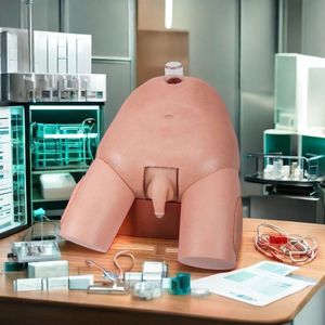 Modelo de entrenamiento de punción de vejiga masculina de PVC avanzado DARHMMY para enfermería de Ciencias Médicas en hospitales y escuelas - Product Image 2