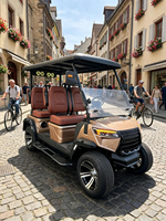 Voiturette de golf électrique personnalisable avec logo, idéale pour le transport dans les clubs de campagne et les parcs, pour utilisation hors route publique, conforme aux normes DOT, CE, CEE