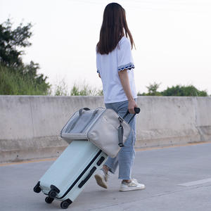 Pembawa kucing ekstra besar, pembawa hewan peliharaan anjing kecil sedang lipat sisi lembut - Product Image 4