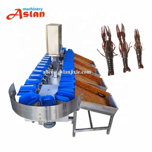 Trieuse de poids entièrement automatique Machine de classement des écrevisses/huîtres de fruits de <span class=keywords><strong>mer</strong></span> - Product Image 1