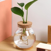 Kit de réservoir de poisson en verre transparent avec couvercle en bois petit bol à poisson Betta et vase de terrarium végétal