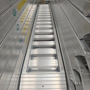 Longitud personalizada Capacidad de carga 5 toneladas, 6 toneladas, <span class=keywords><strong>7</strong></span> toneladas Accesorios personalizados Escalera - Product Image 5