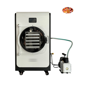 Freeze Dryer Machine for Food Fruit and Vegetable Freeze-dryer Drying Equipment Low Price Laboratory Mini Vacuum Lyophilizer - Product Image 4